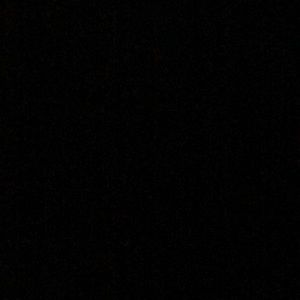 Meet your Posher, Shelton